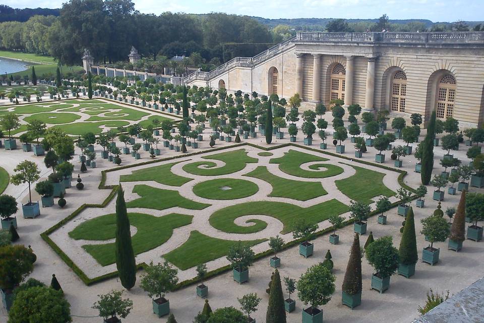 Orangerie de Versailles