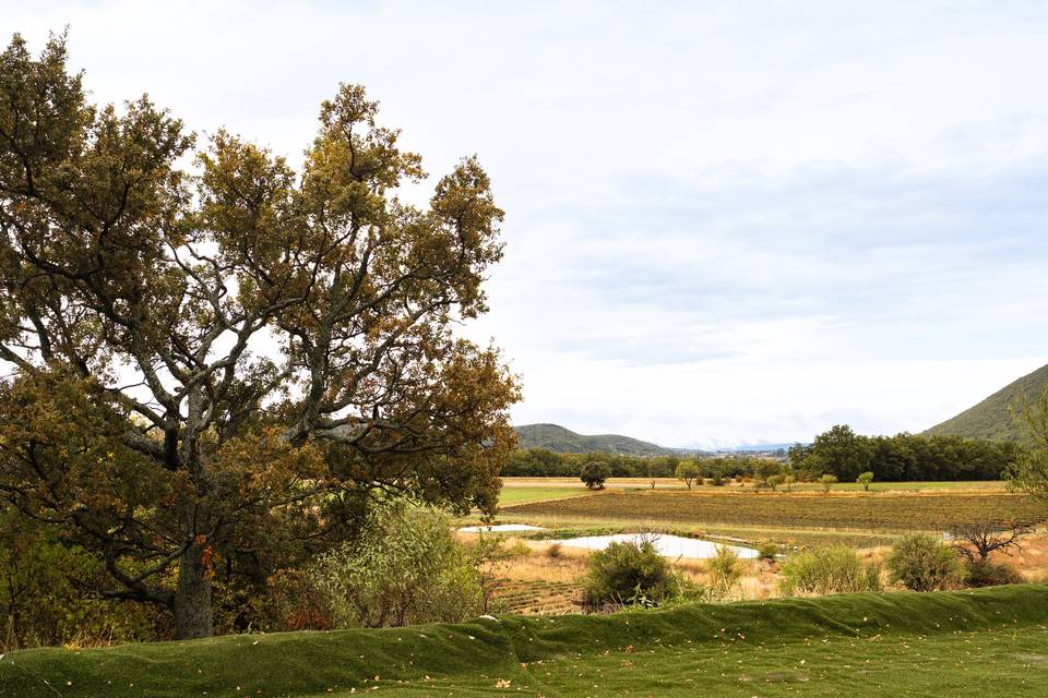 Vue sur campagne