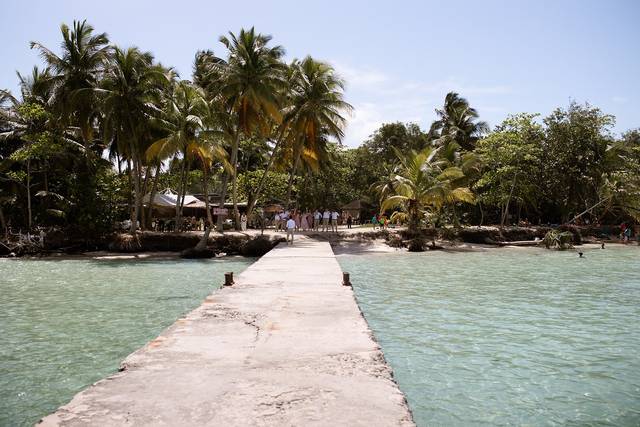 La Tortue Verte Guadeloupe