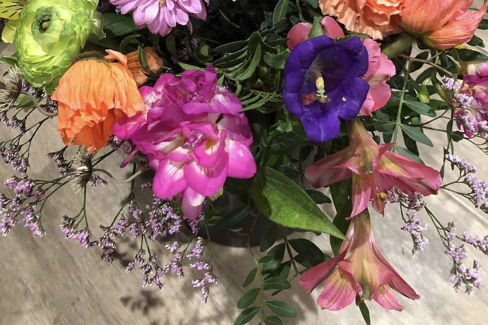 Terres de Violettes