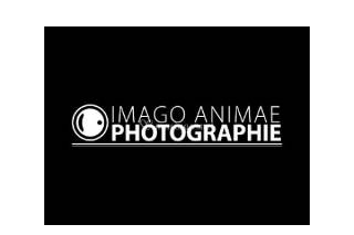 Imago Animae Logo