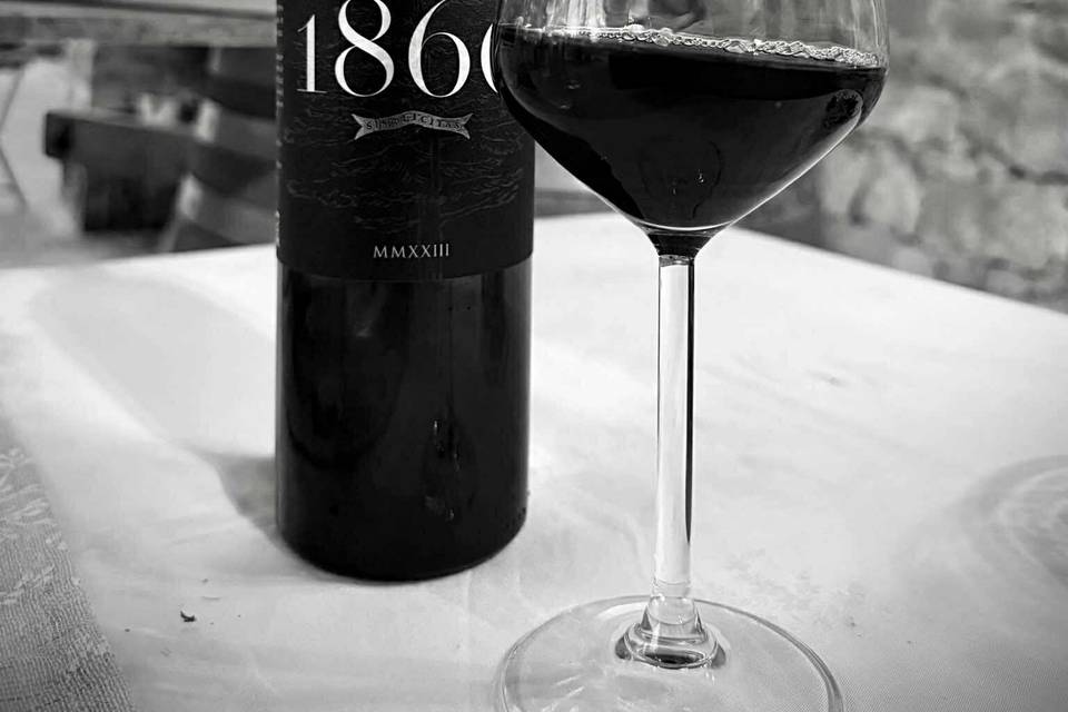 Nos vins bio