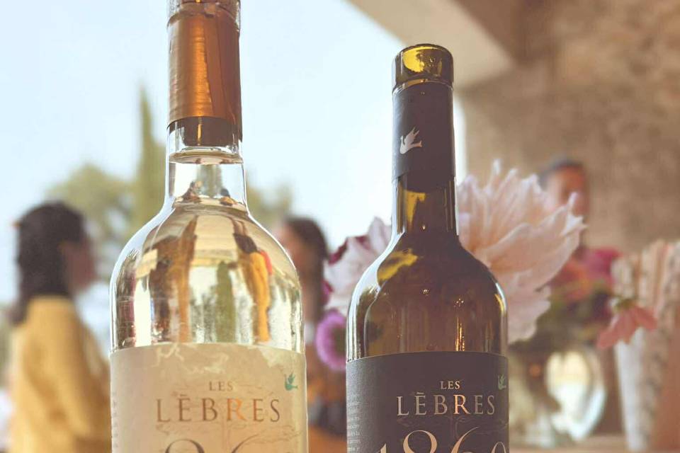 Nos vins bio
