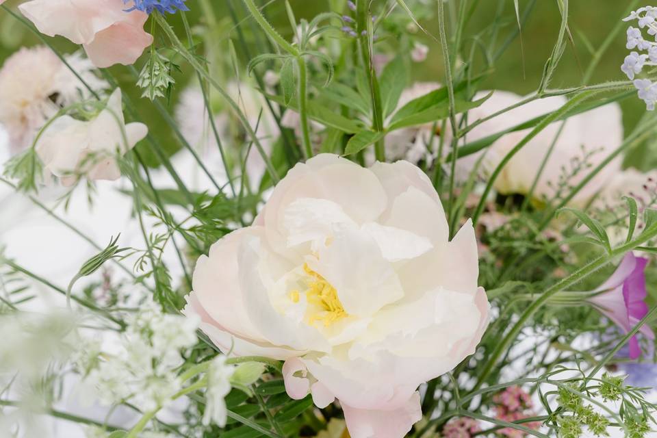 Décoration florale (détail)