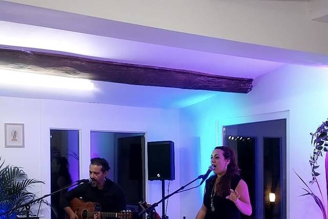 Duo chant/guitare