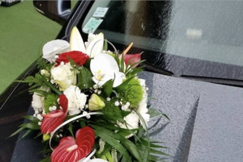 Capot de voiture