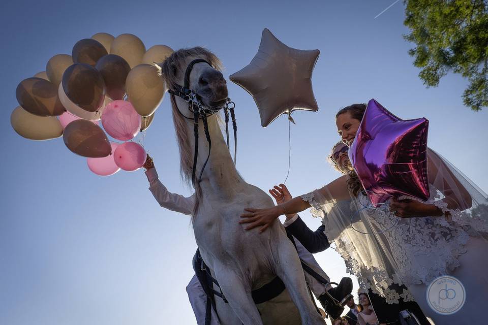 Love balloons