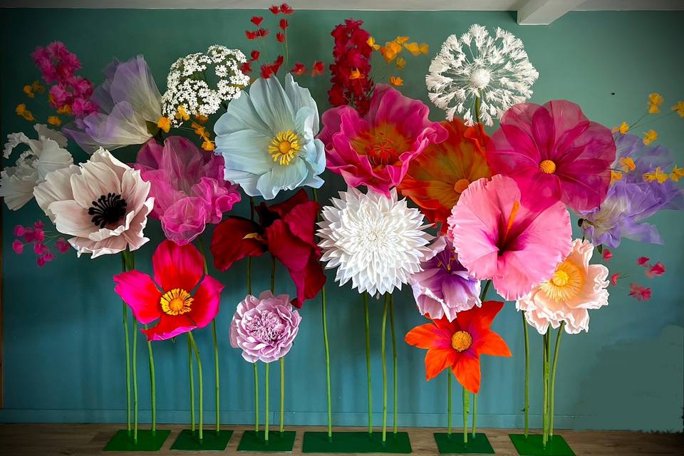 Fleurs géantes Joséphine
