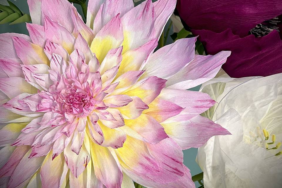 Fleur géante