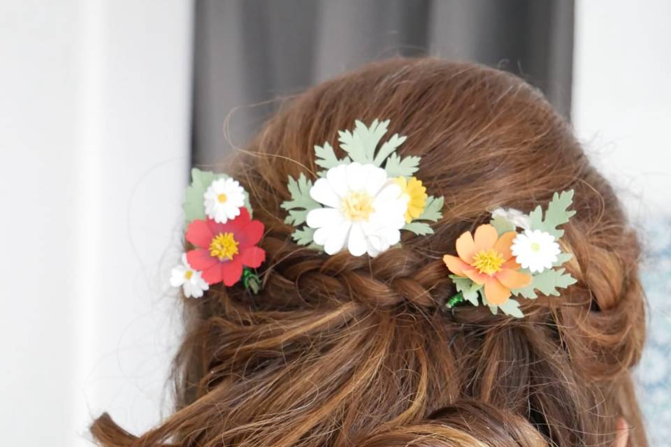 Pics à chignon