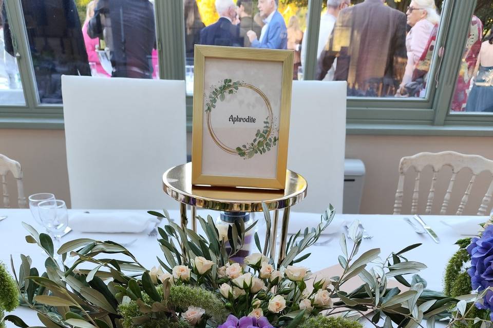 Compo hortensia et olivier