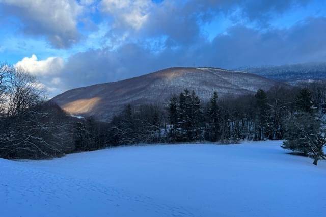 Parc sous la neige