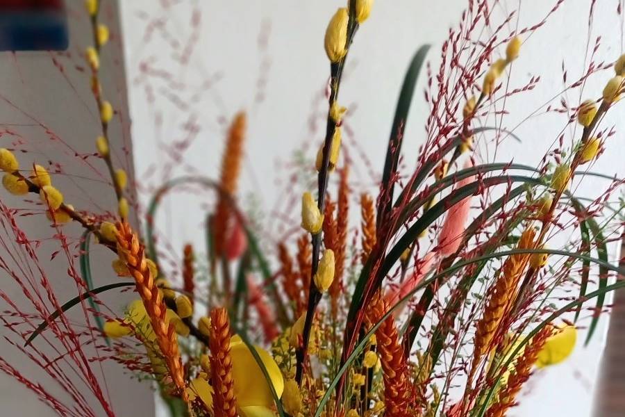 Soliflor