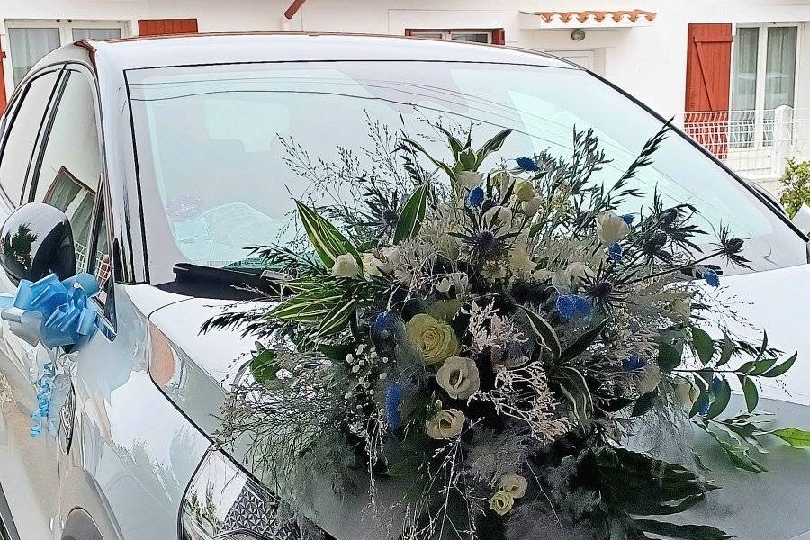Capot de voiture