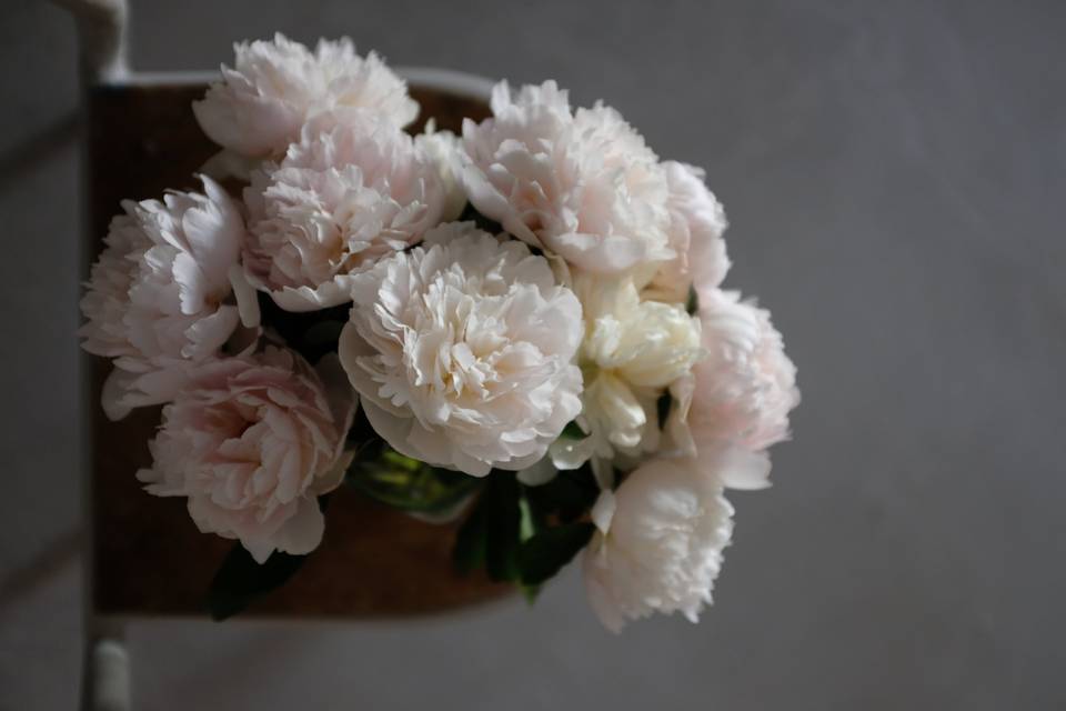 Hinoki