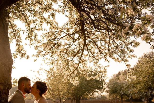 Mariage domaine de Soignolles