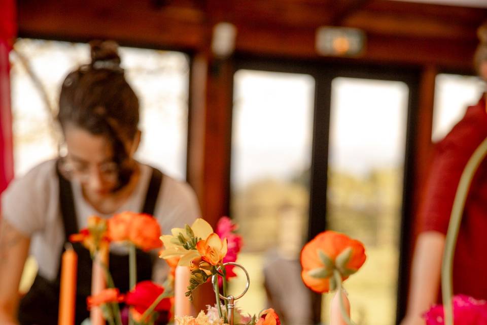 Mariage domaine du Haras du Ry