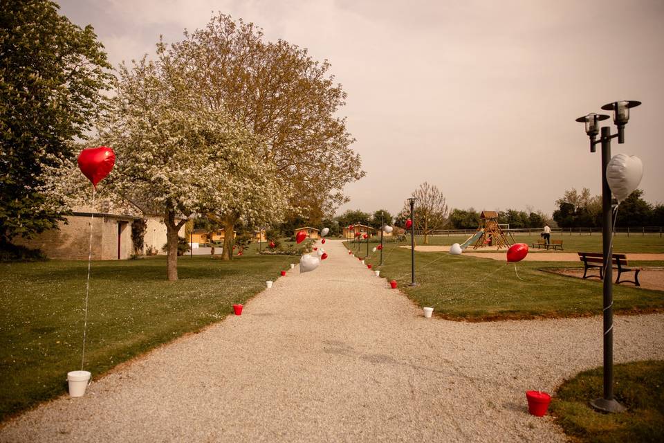 Mariage domaine de Soignolles