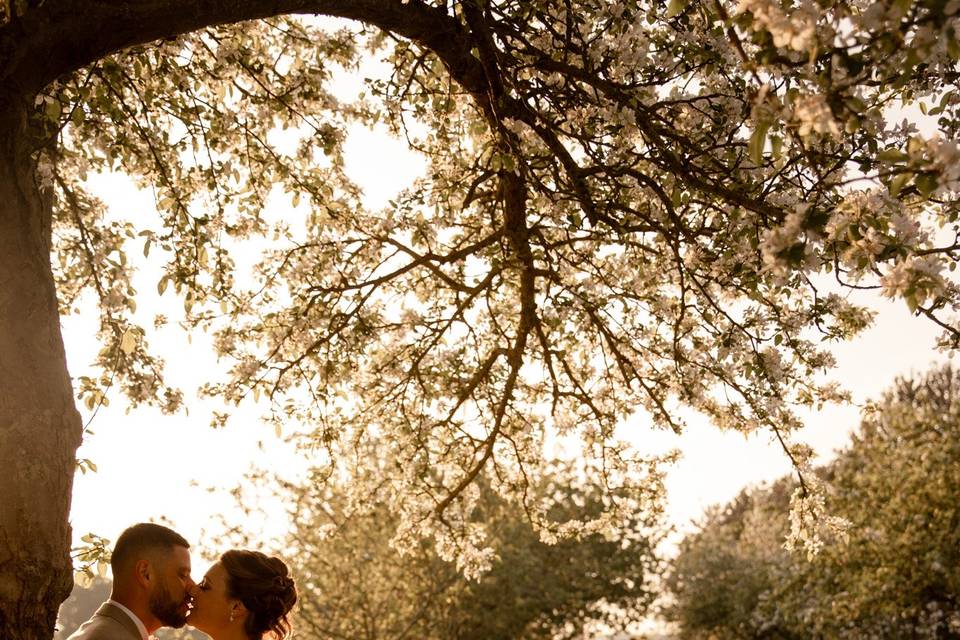 Mariage domaine de Soignolles