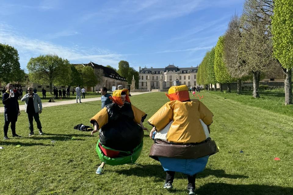 Sumo Astérix et Obélix