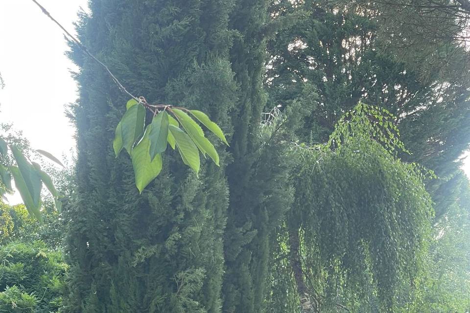 Jardin