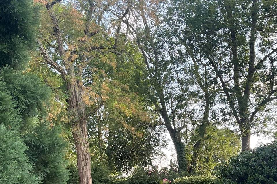 Jardin