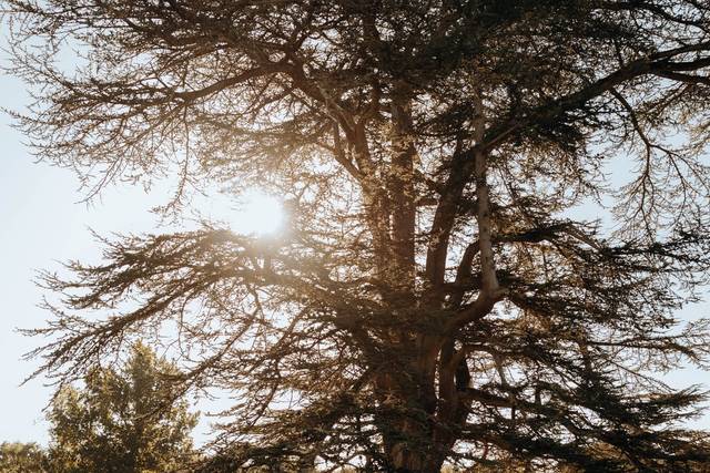 Mariage Château Baronnie