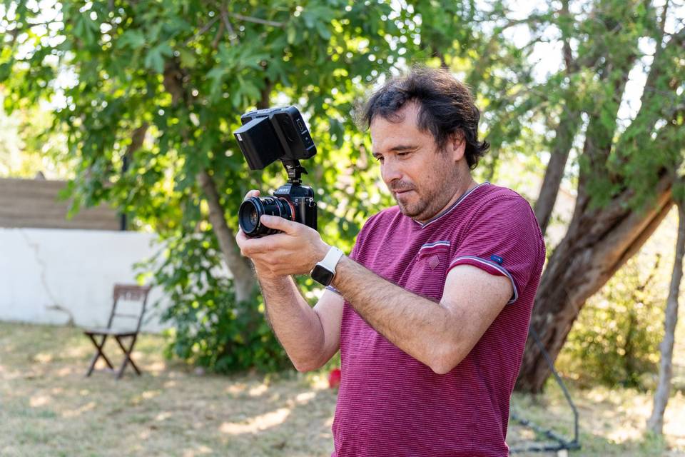 Vidéo sous les arbres