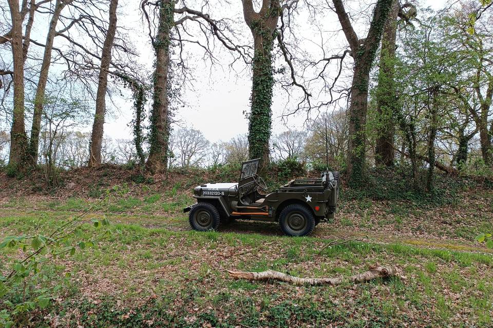 Jeep Willys chemin
