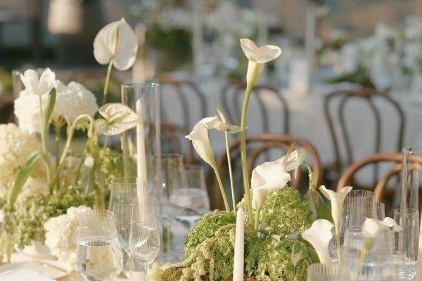 Elegant Wedding
