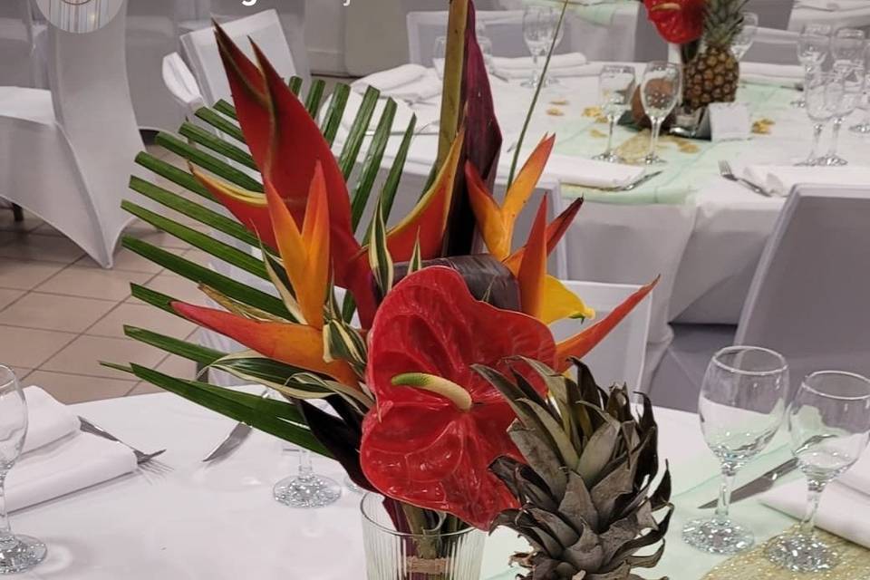 Thème tropical