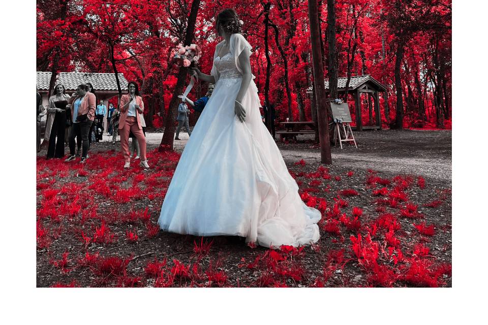 Dj mariage drome ardeche