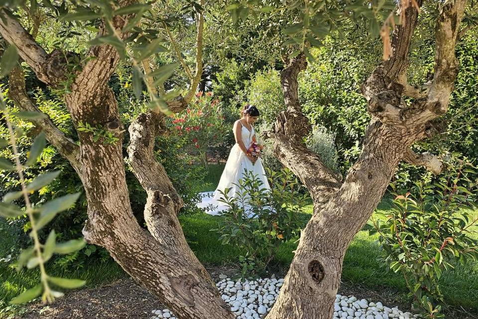 Mariage Nicolas et Samina