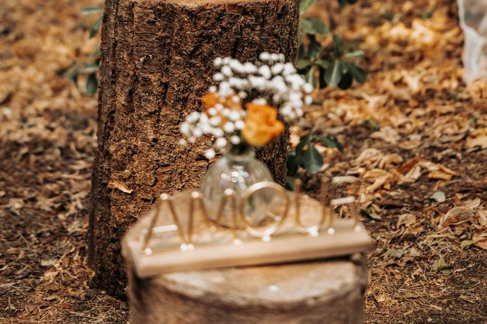Mariage La Mazure