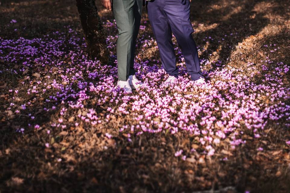 Dans les fleurs sauvages