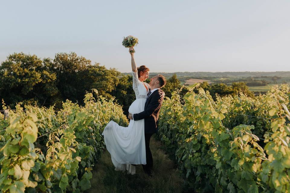 Vignoble