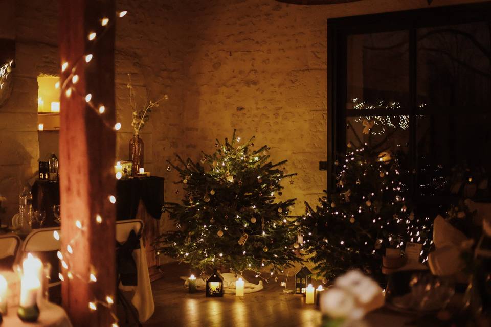 Mariage d'Hiver