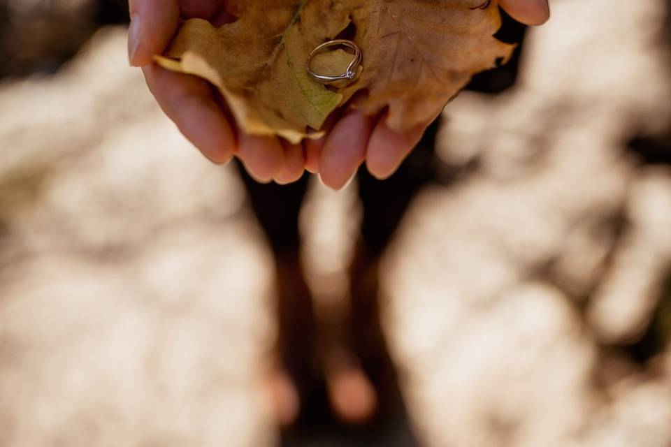 Séance engagement