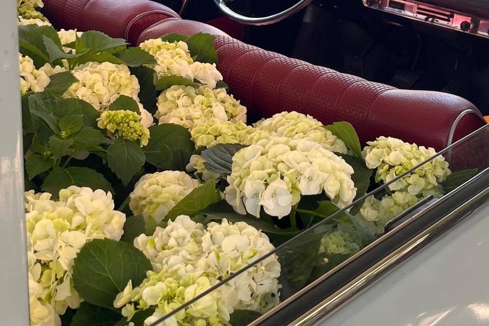 Décoration voiture
