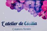 L'atelier de Cécilia