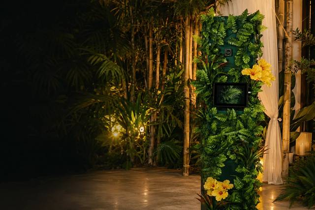 Jungleboot en soirée