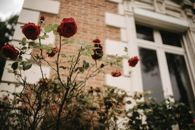 Le chateau
