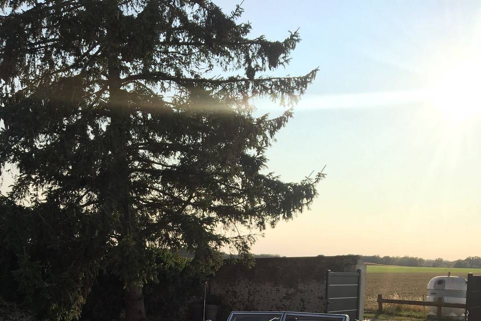 Voiture de Mariage