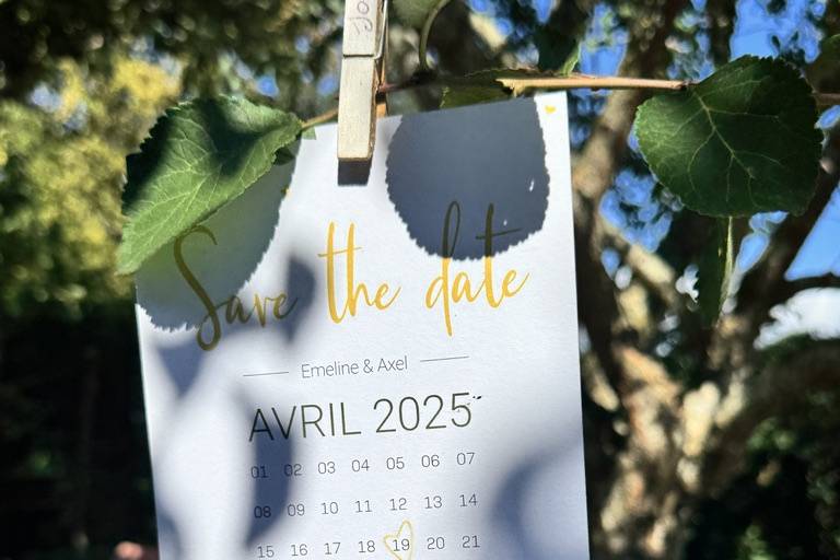 Save The Date | Michel Wedding