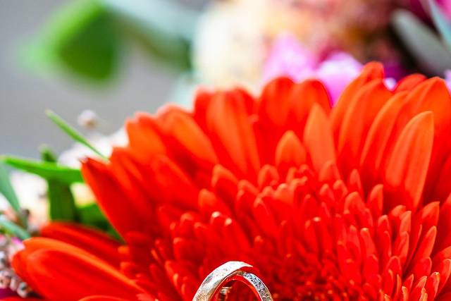 Les alliances dans le bouquet