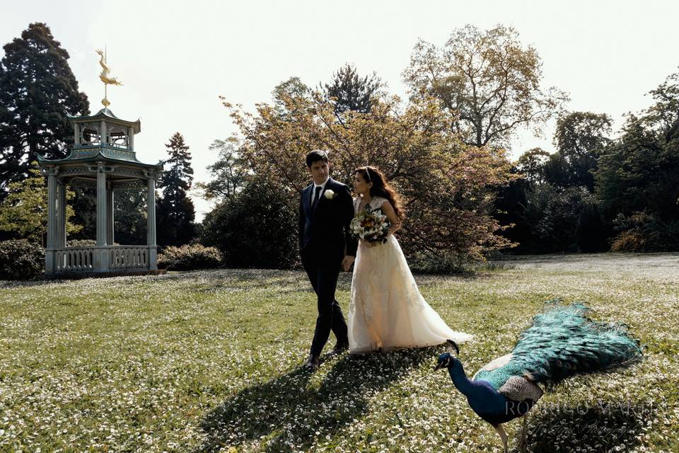Wedding Photography Paris