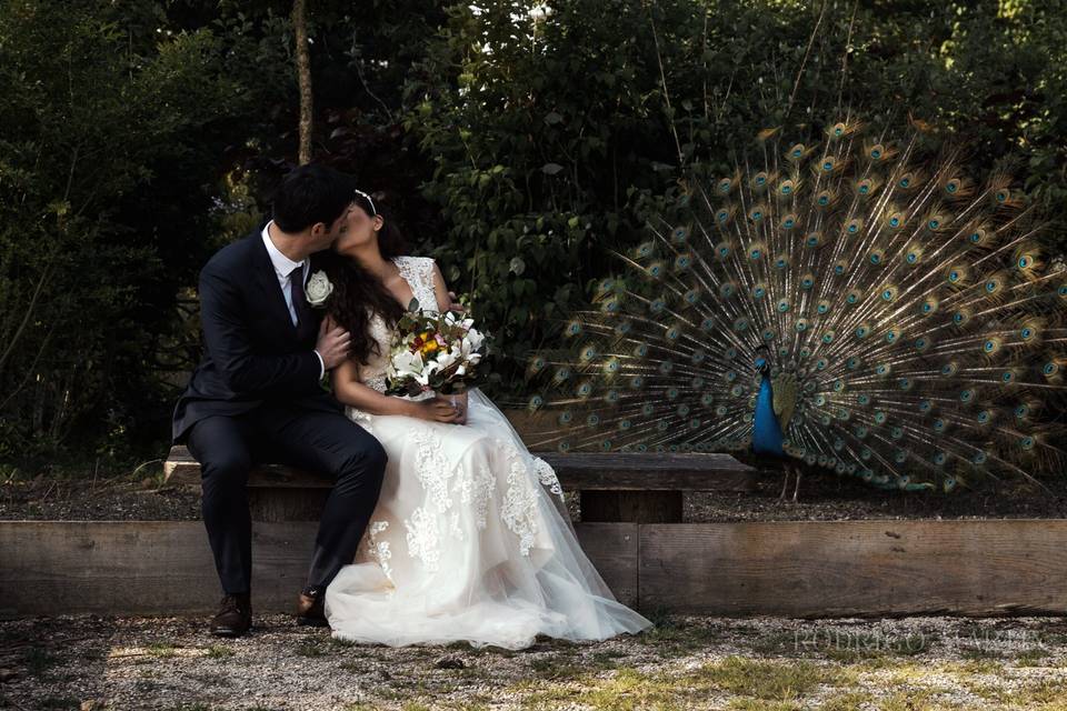 Wedding Photography Paris