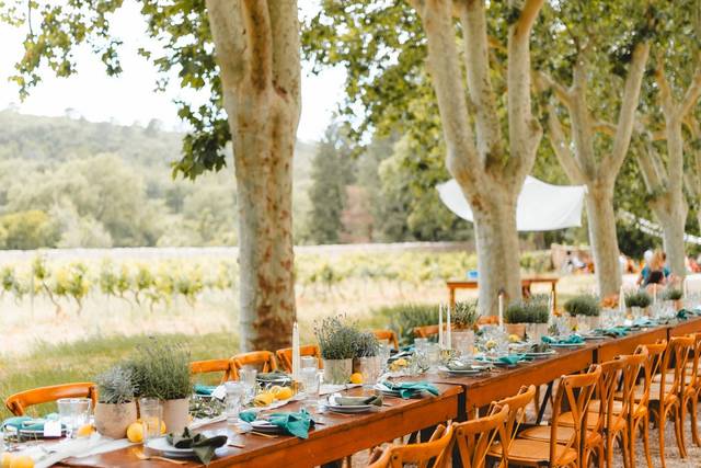 Table domaine des muriers