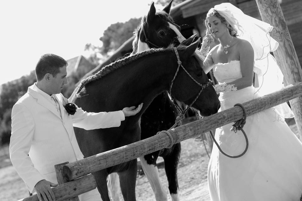 Wedding@philippechesa