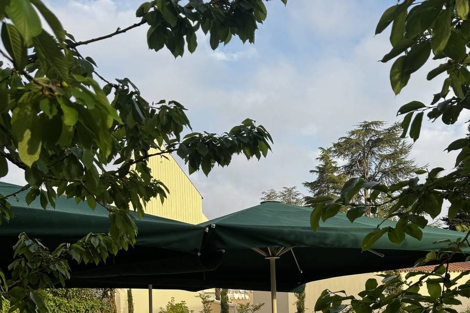 Terrasse brunch
